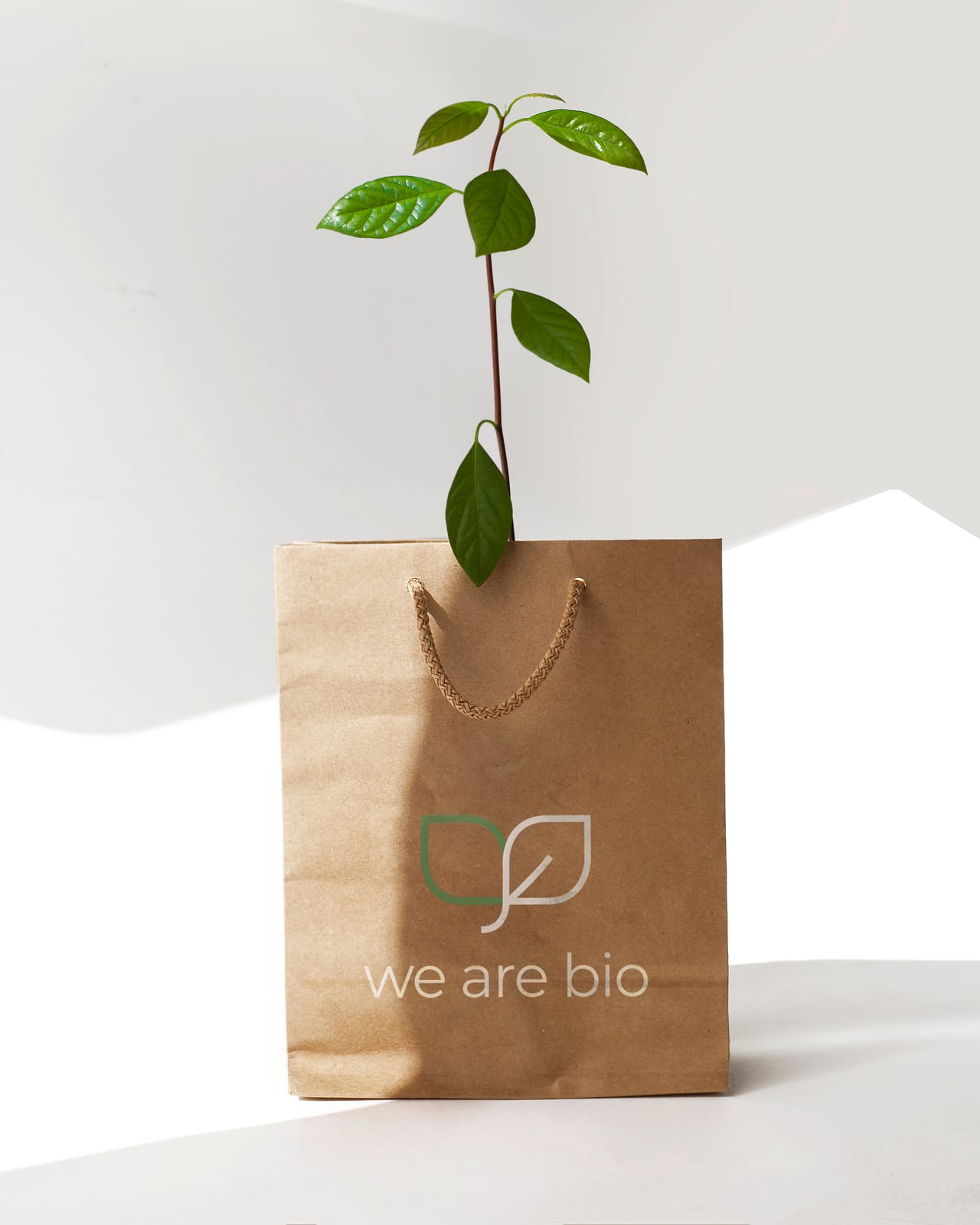 Una bolsa de papel kraft de We Are Bio con un aguacate germinando