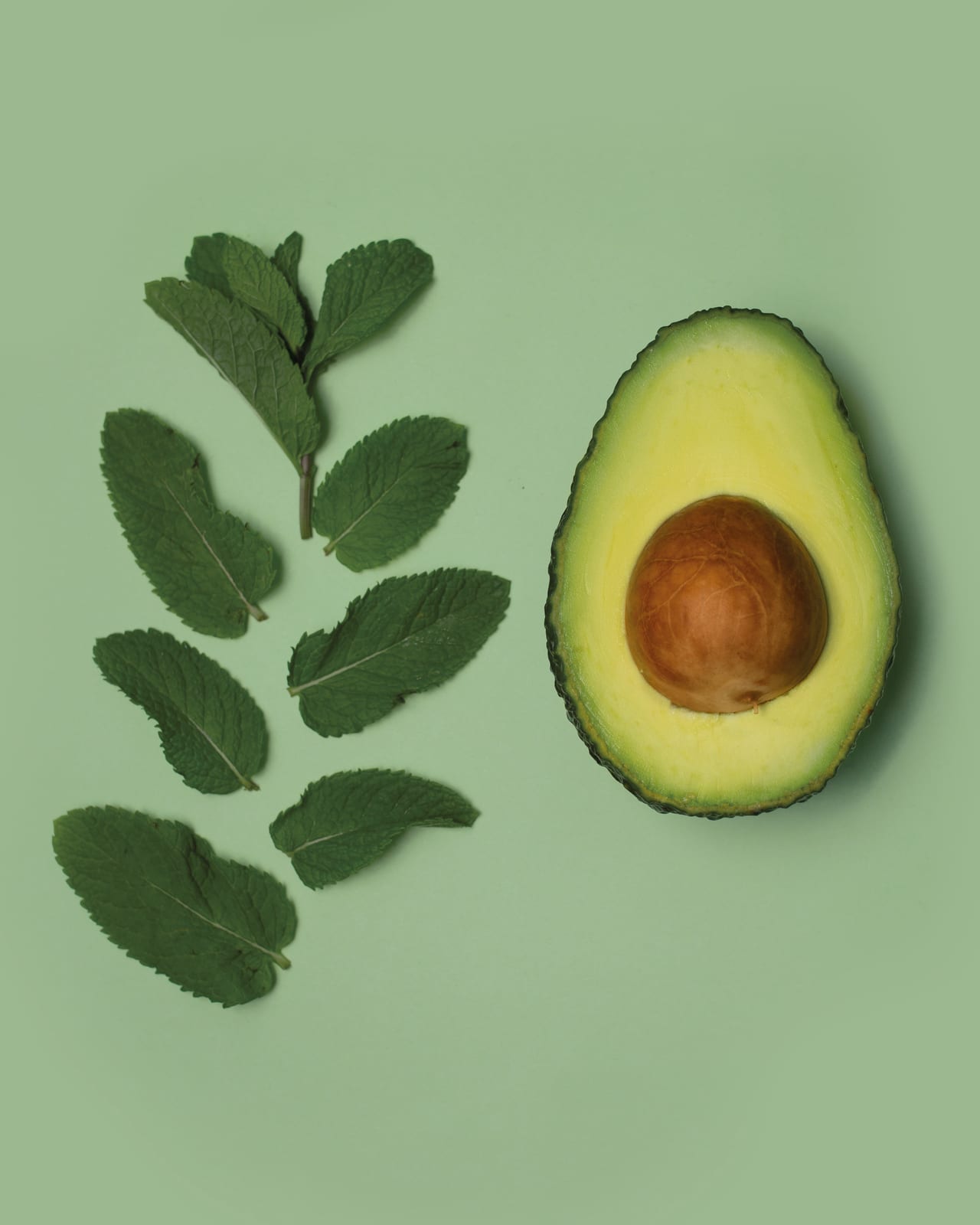 Variedades de aceituna